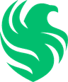 Falcons logo